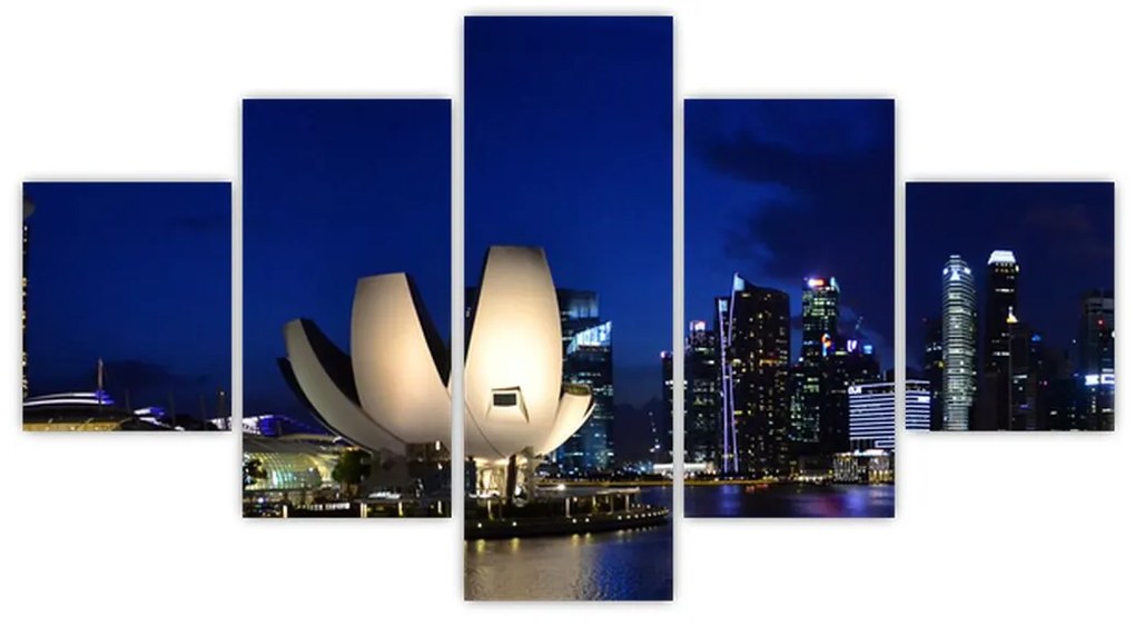 Obraz Singapuru nocą (125x70 cm)