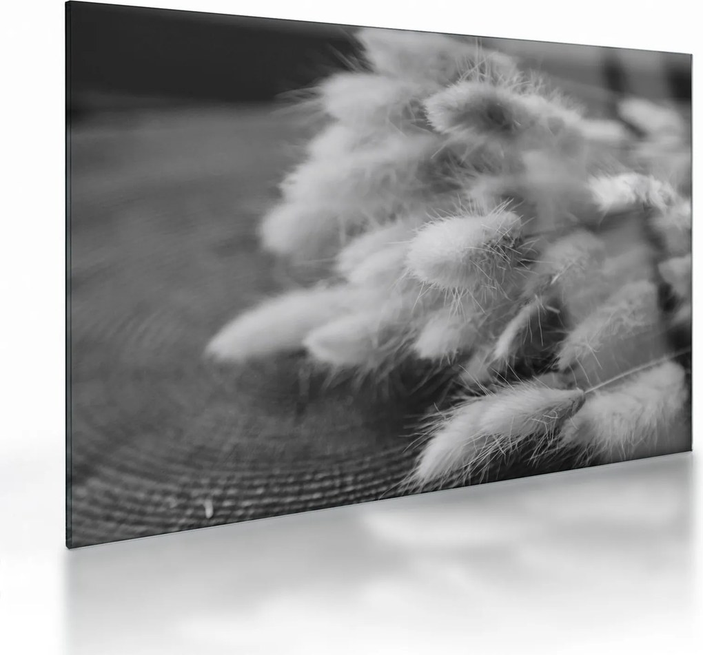 Obraz na szkle - trawa z króliczym ogonkiem na stole (70x50 cm)