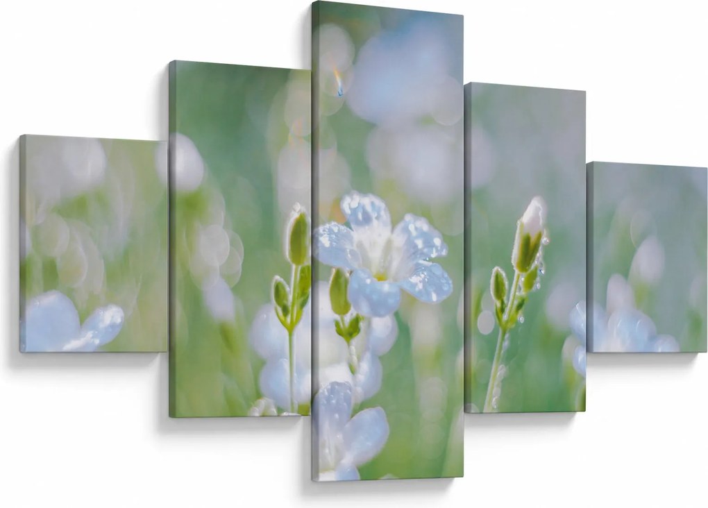 Obraz - Delikatne kwiaty (125x70 cm)