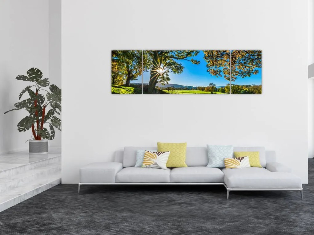 Obraz - widok pola (170x50 cm)