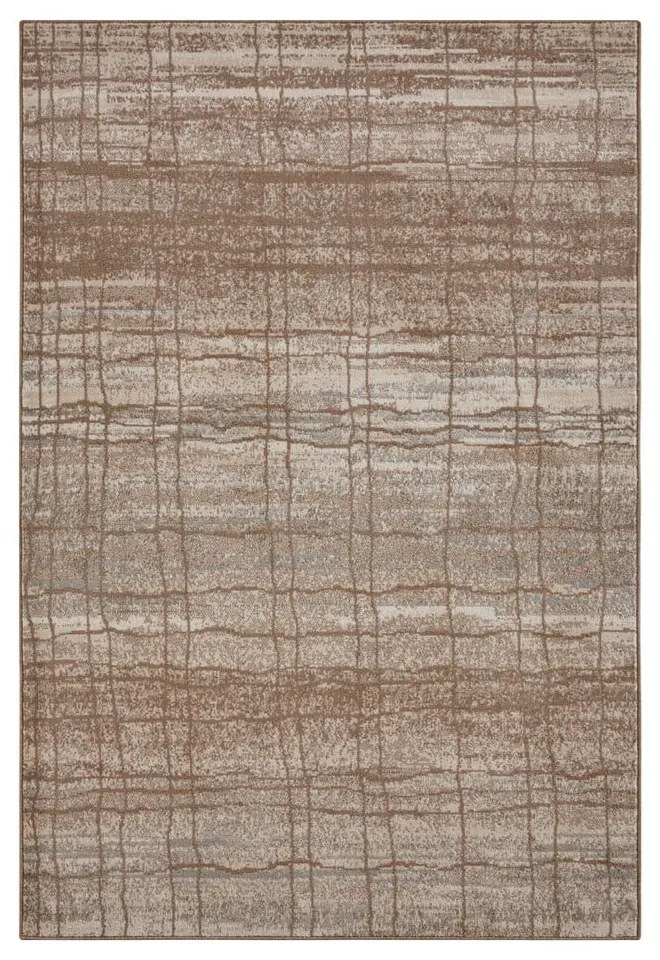 Brązowy/beżowy dywan 80x120 cm Terrain – Hanse Home