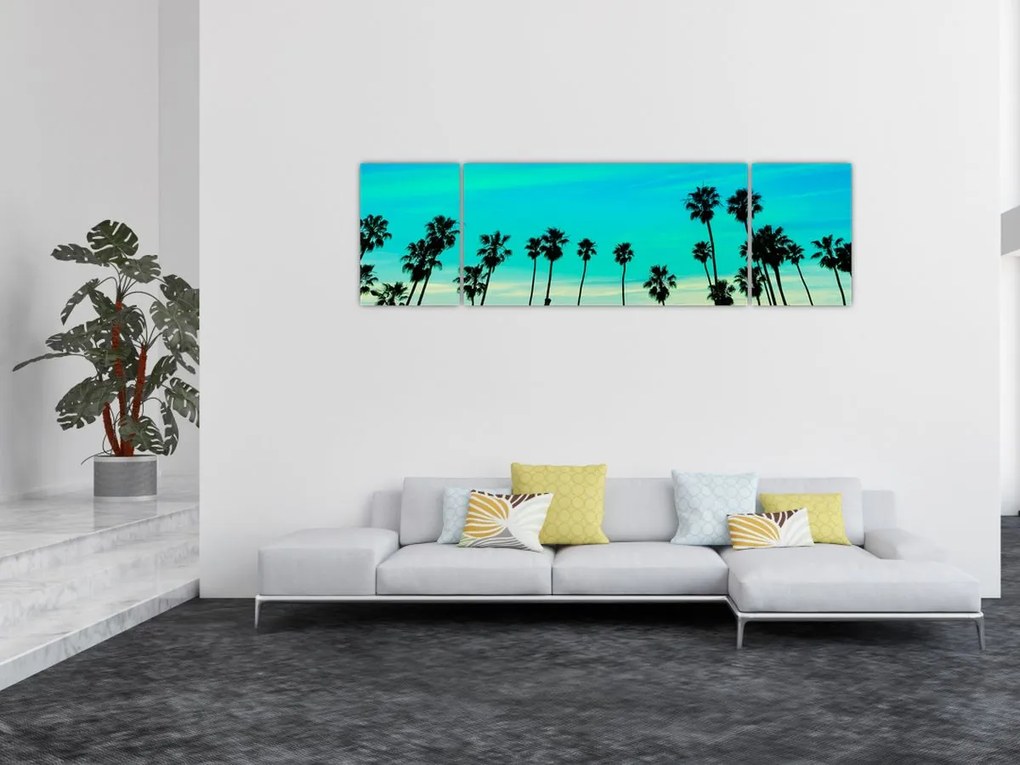 Obraz - Kalifornia (170x50 cm)