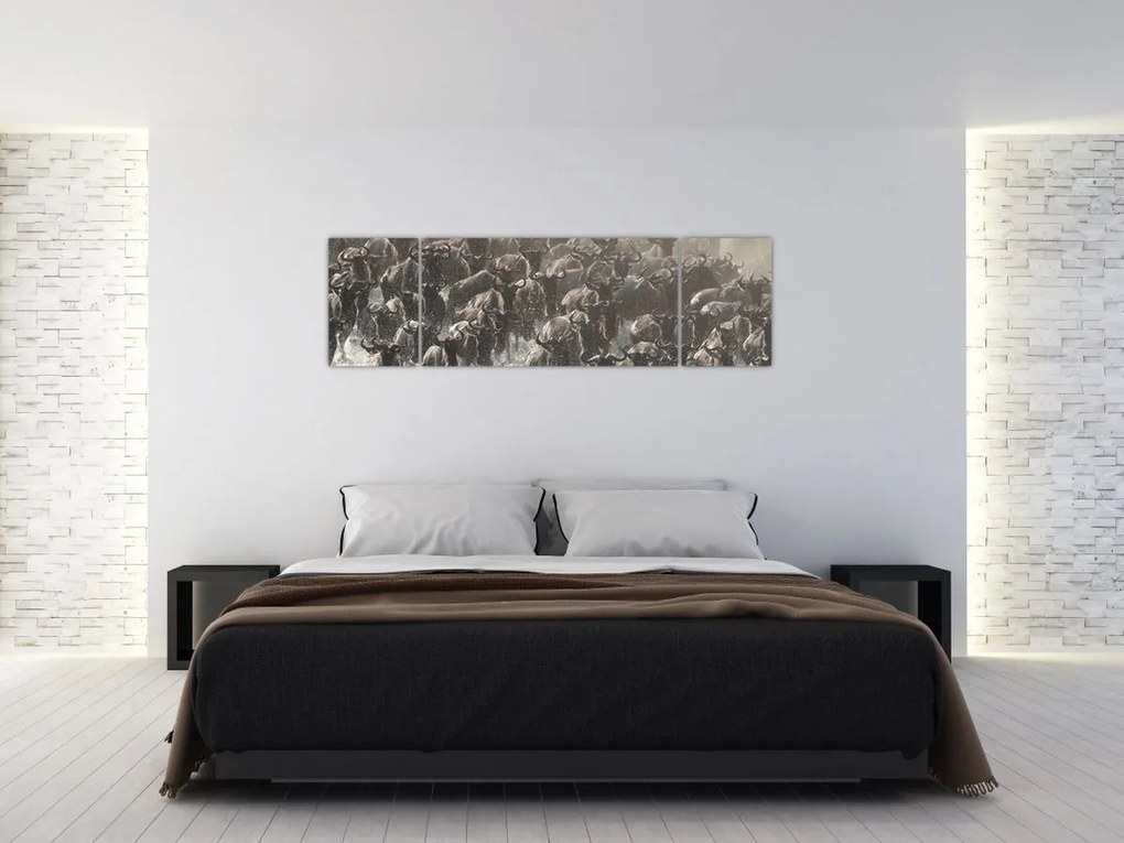 Obraz - Stado antylop gnu (170x50 cm)