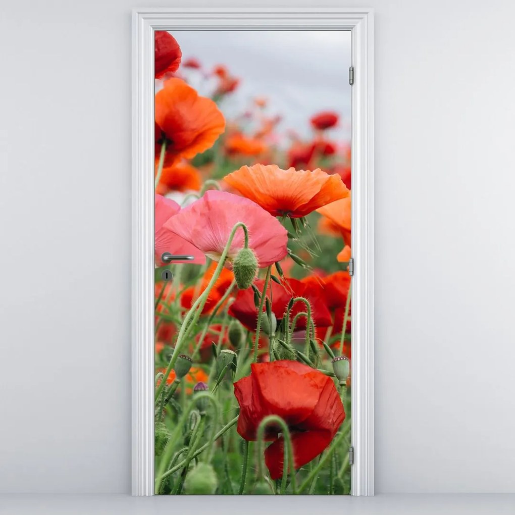 Fototapeta na drzwi - Pole maków (95x205cm)