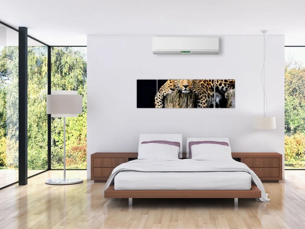 Obraz - Gepard (170x50 cm)
