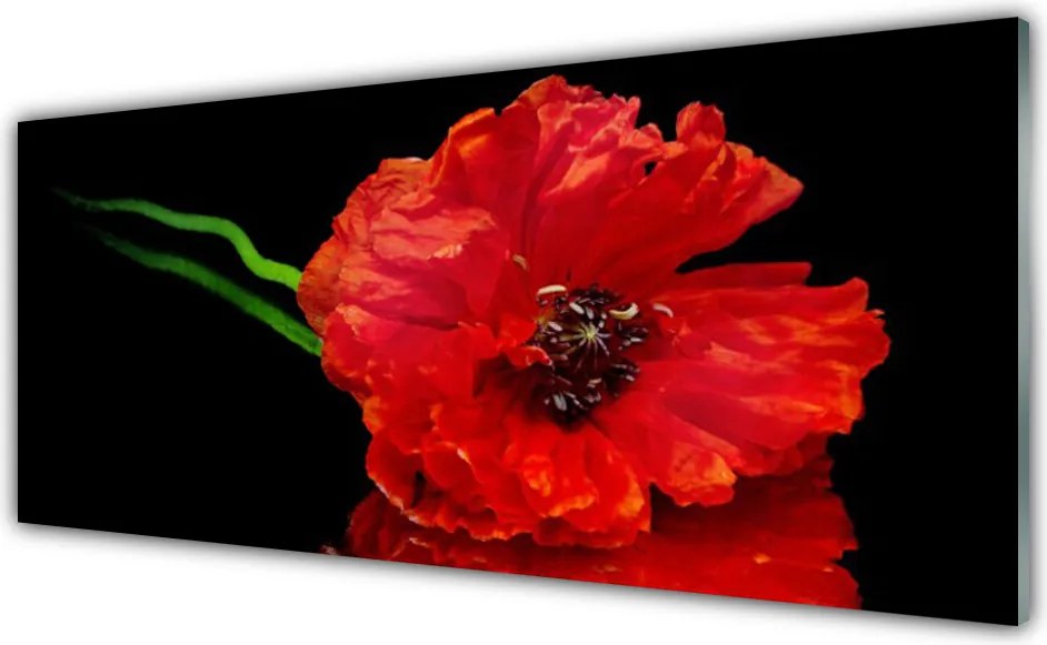 Szkło Dekoracyjne do Kuchni Samotny Mak w Polu