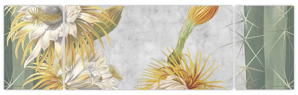 Obraz - Kwitnące kaktusy (170x50 cm)