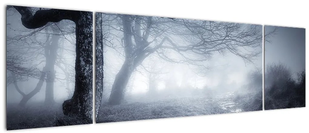 Obraz- Droga we mgle (170x50 cm)
