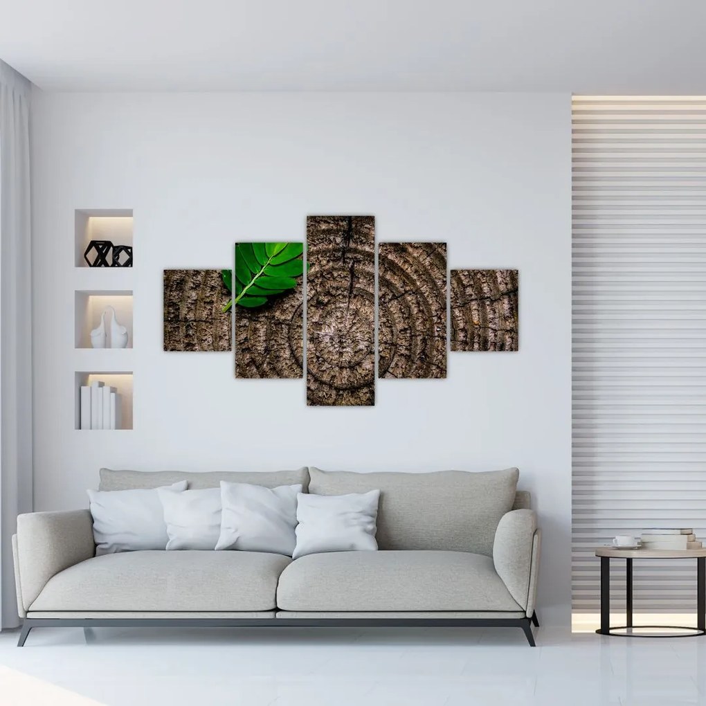 Obraz liścia na pniu drzewa (125x70 cm)