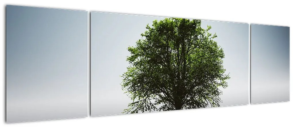 Obraz - Samotne drzewo (170x50 cm)
