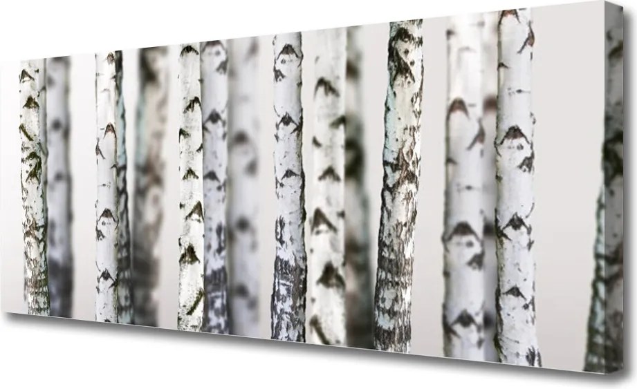 Obraz canvas Gęsta Korona Drzew