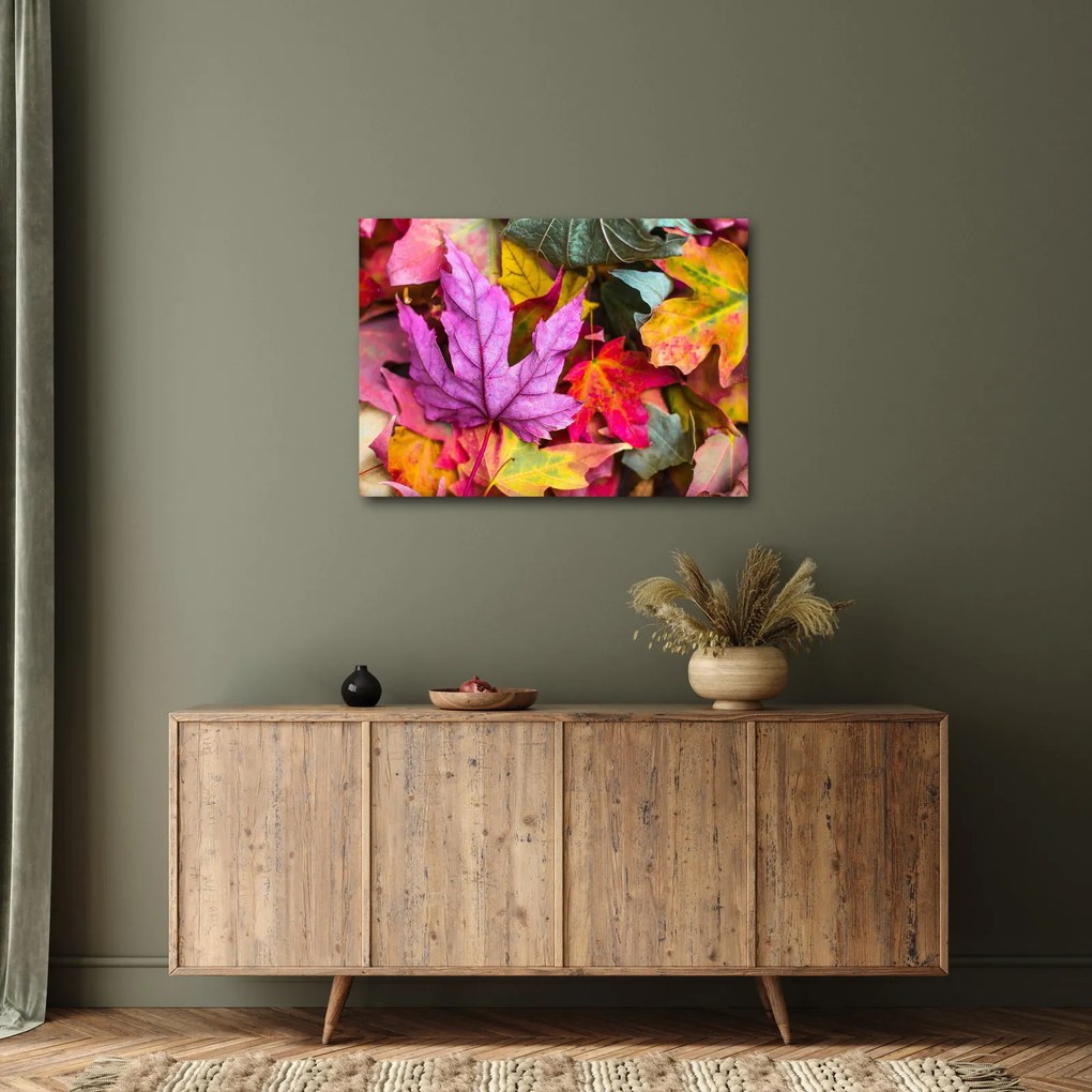 Obraz - jesienne liście (70x50 cm)