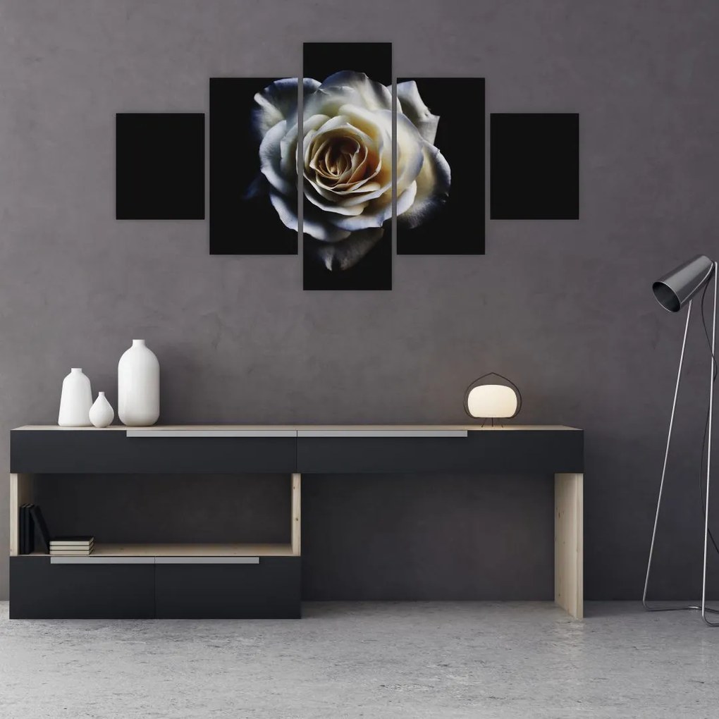 Obraz białej róży (125x70 cm)