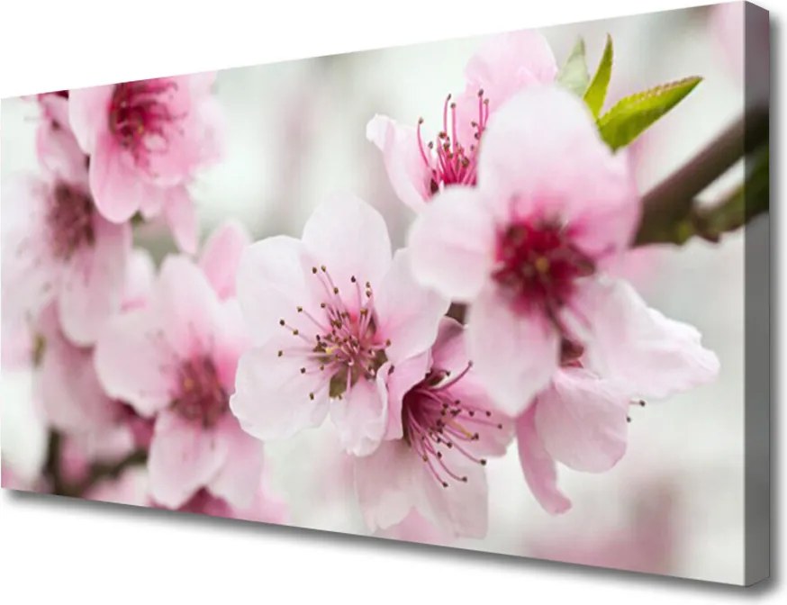 Obraz na płótnie Harmonijna Roślinność Kwiatowa