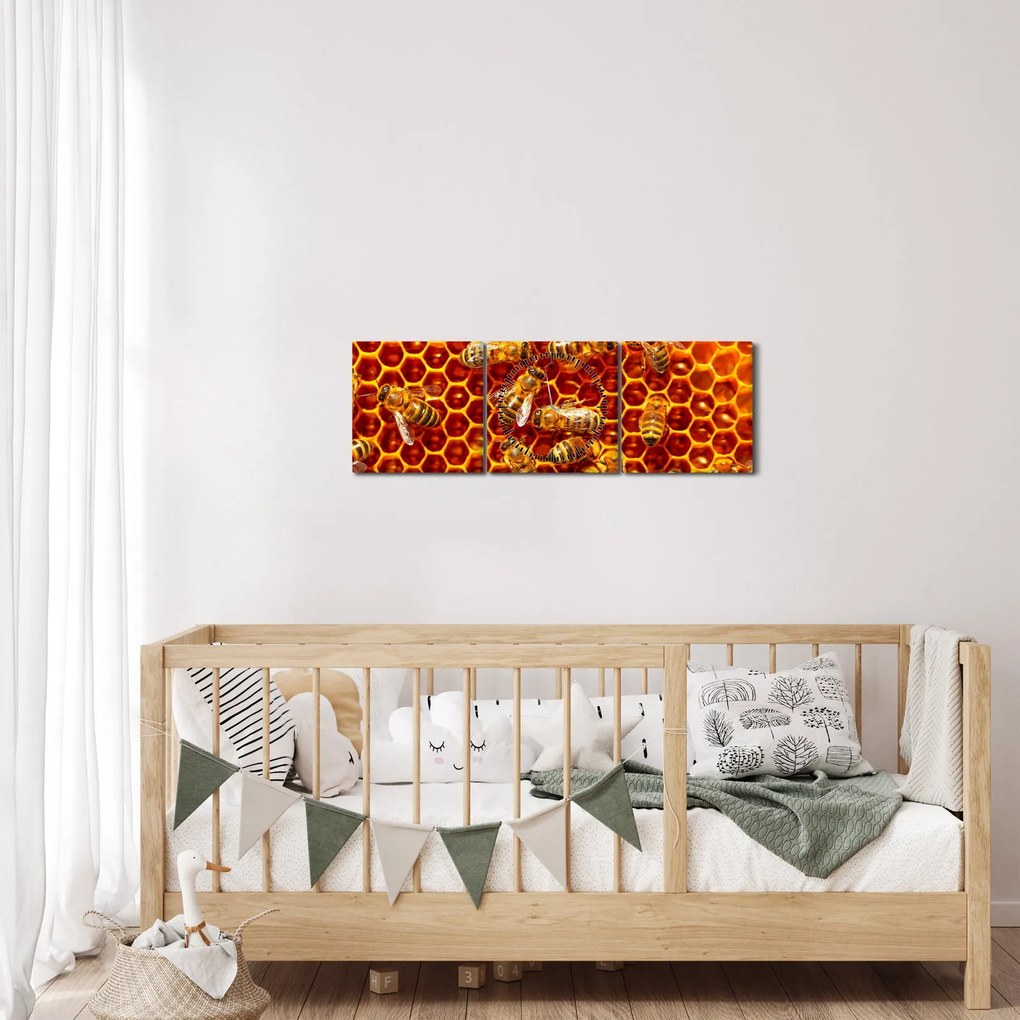 Obraz - Plaster miodu (z zegarem) (90x30 cm)