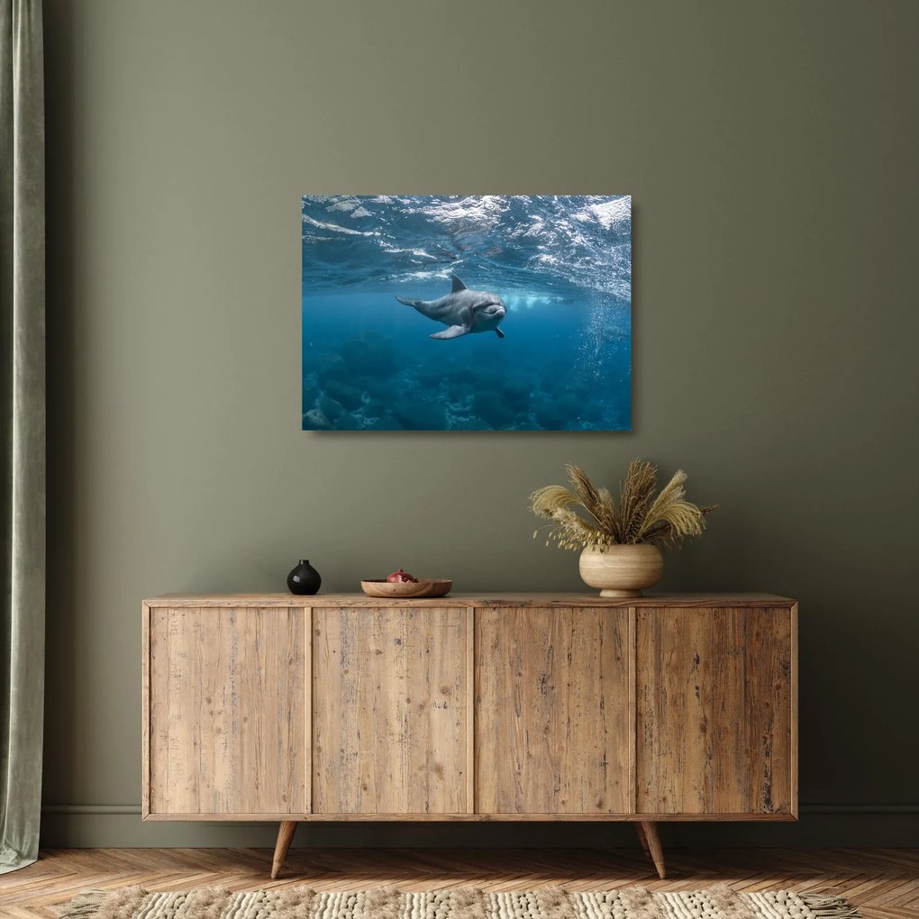 Obraz na szkle - Delfin pod wodą (70x50 cm)