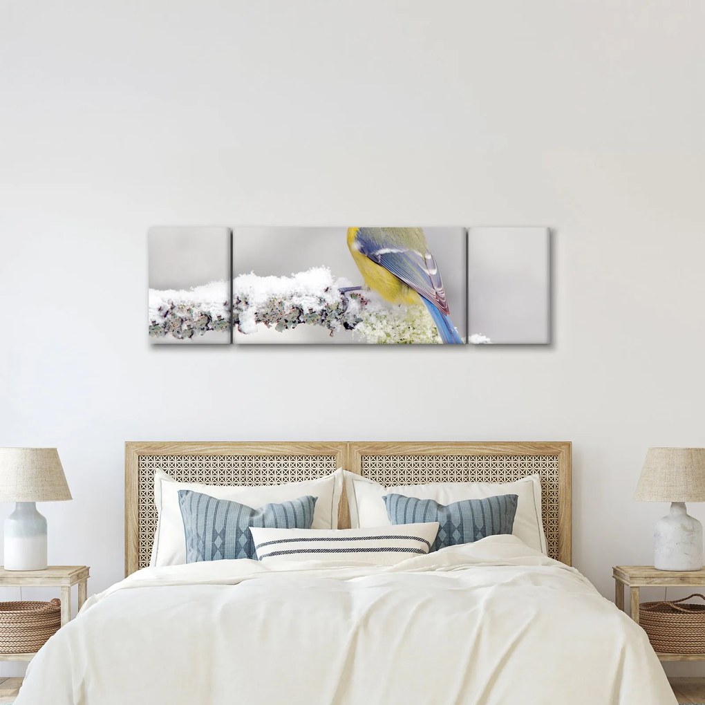 Obraz - Sikorka (170x50 cm)