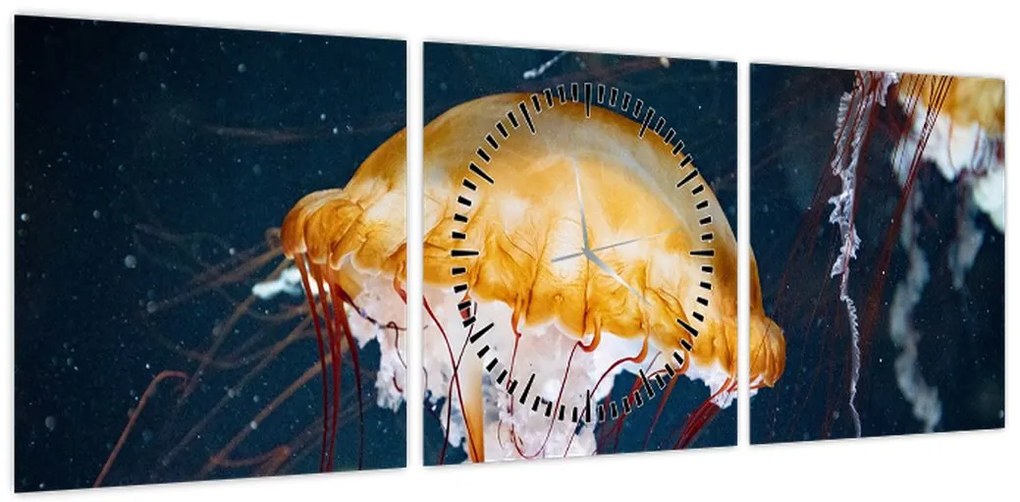 Obraz meduzy (z zegarem) (90x30 cm)