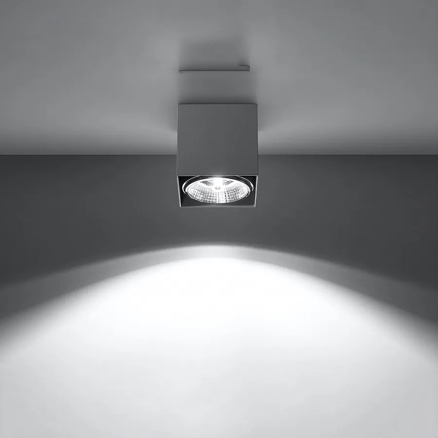 Plafony nowoczesny Nexiflex, aluminium - 1 źródło światła 3000K - L.12 x H.11 cm - szary