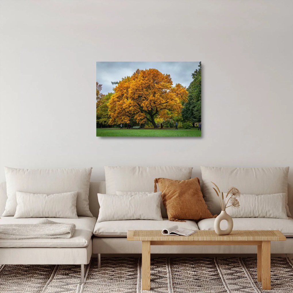 Obraz na szkle - drzewo (70x50 cm)