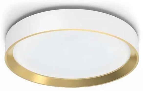 Philips HANNO LED 24W 230V 2700K białe ściemnialne oświetlenie sufitowe