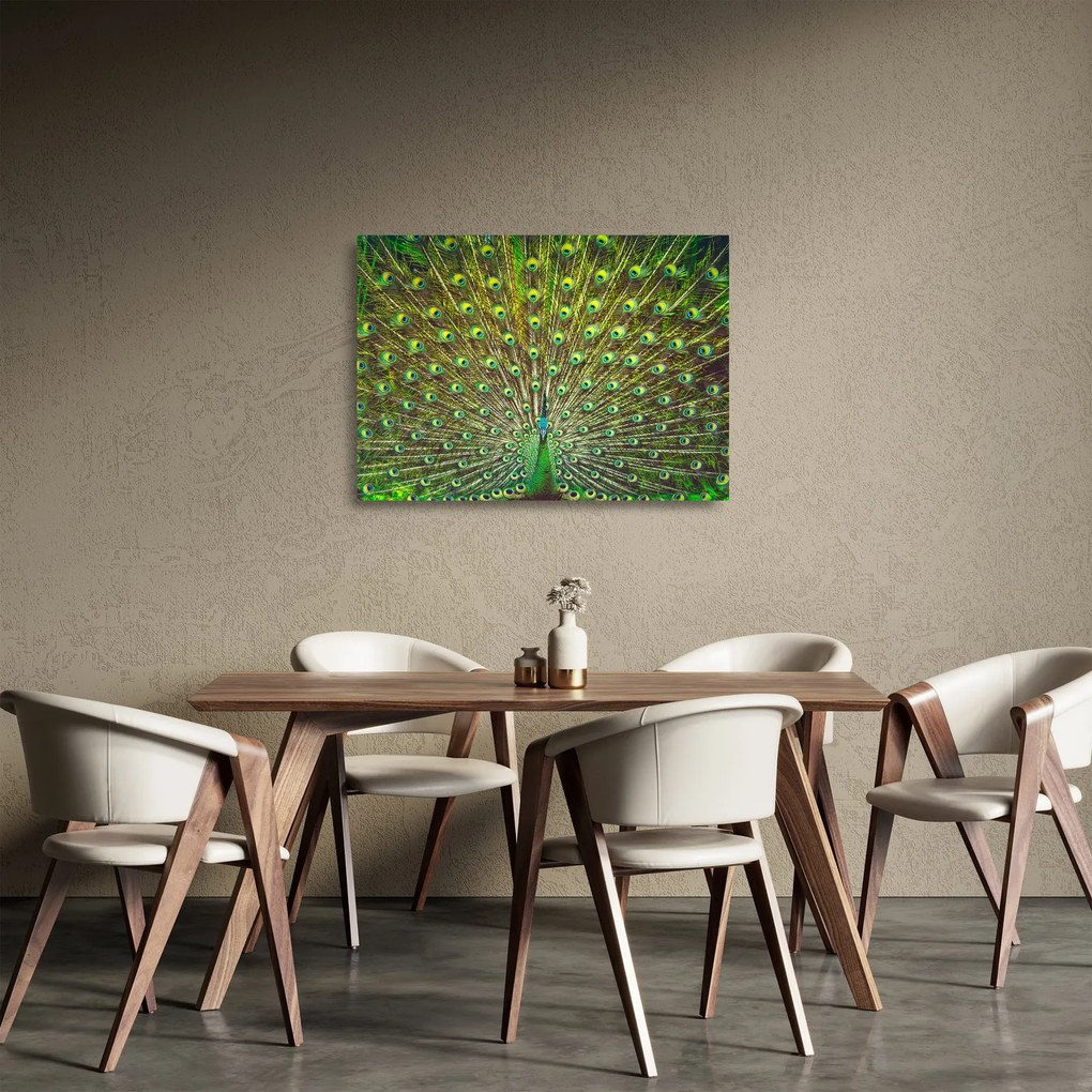 Obraz na szkle - Paw (70x50 cm)
