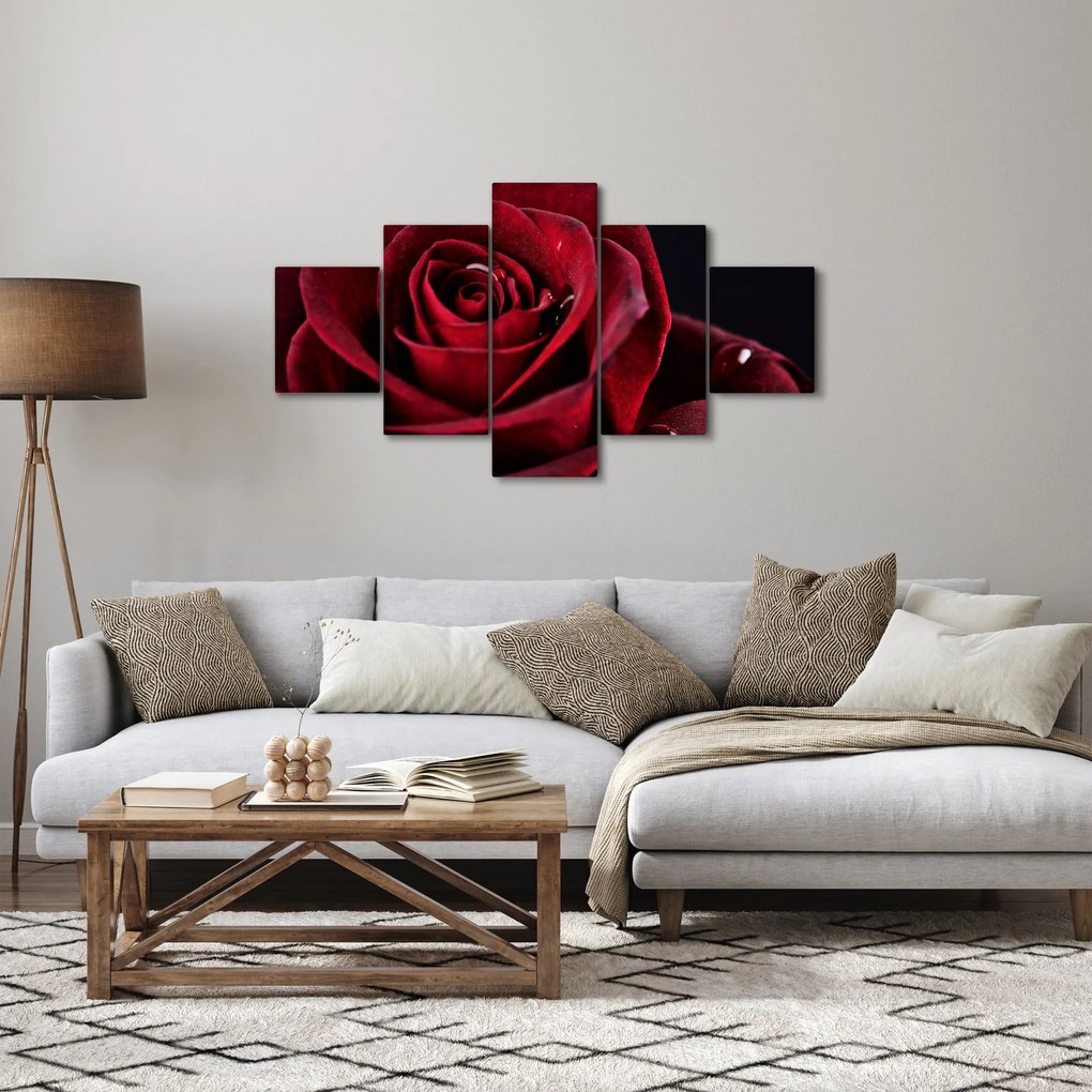 Obraz - Czerwona róża (125x70 cm)