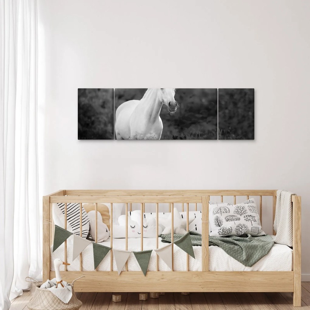Obraz białego konia na łące, czarno - biały (170x50 cm)