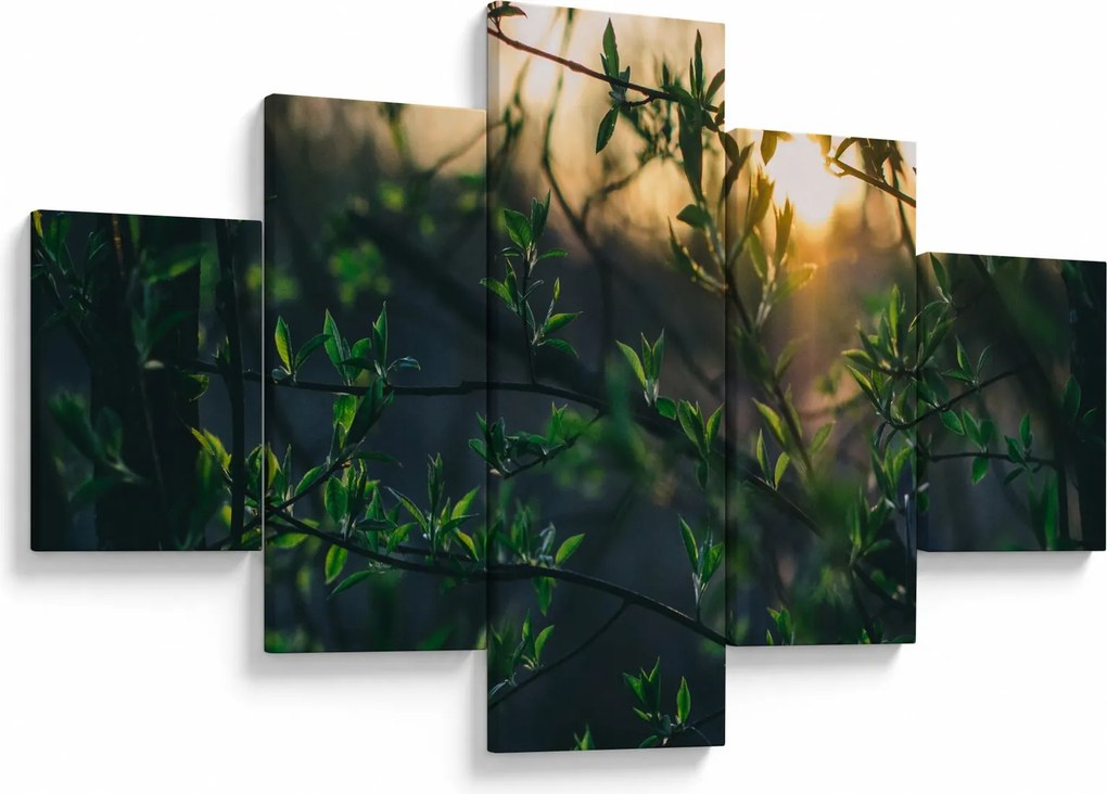 Obraz słońca przeświecającego przez gałęzie drzew (125x70 cm)