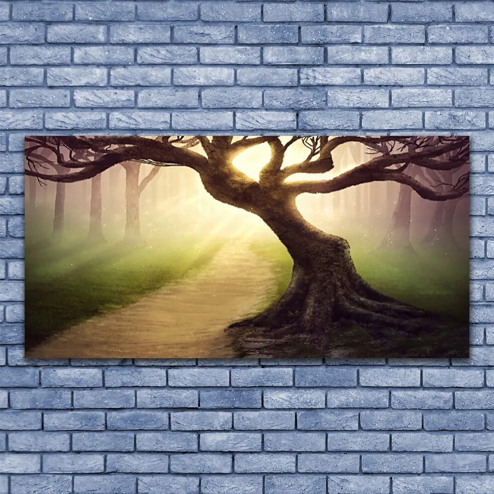 Obraz canvas na ścianę Promienie Słońca w Koronie Drzewa