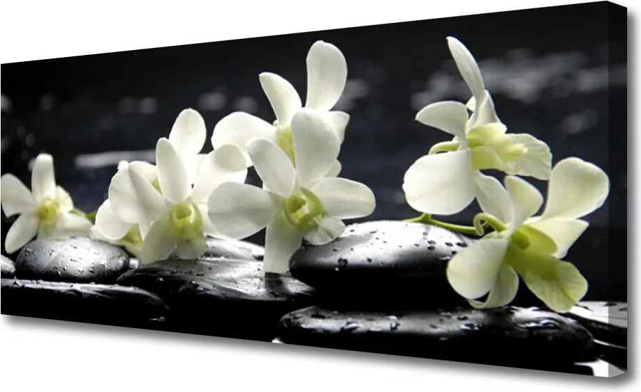 Obraz na płótnie Równowaga: Kwiat i Skała