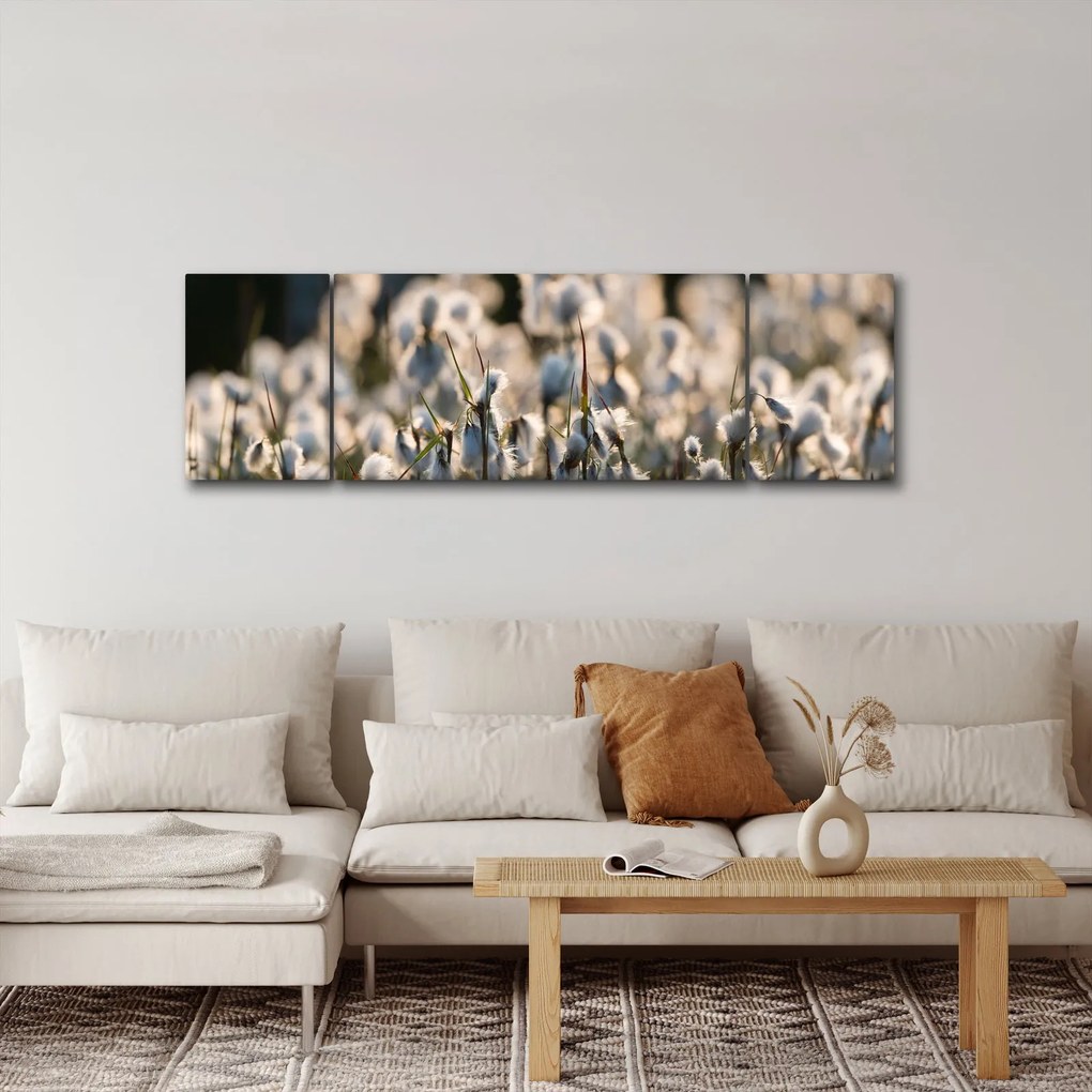 Obraz - Biała wełnianka (170x50 cm)