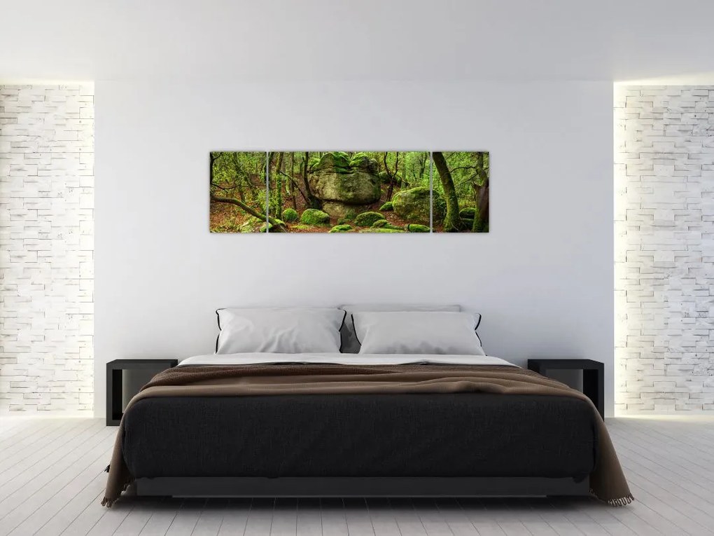Obraz magicznego lasu (170x50 cm)