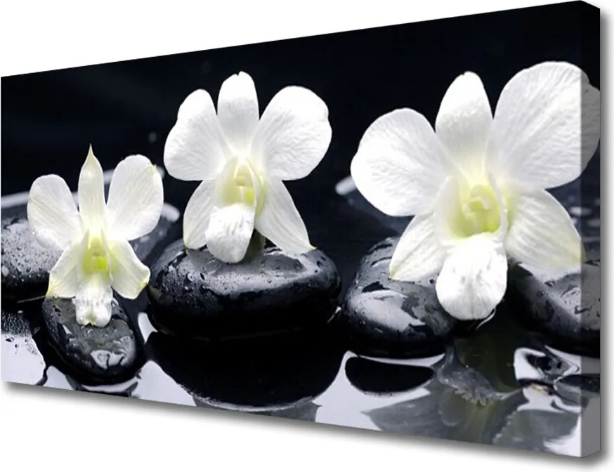 Obraz na płótnie Orchidea w Kompozycji Zen