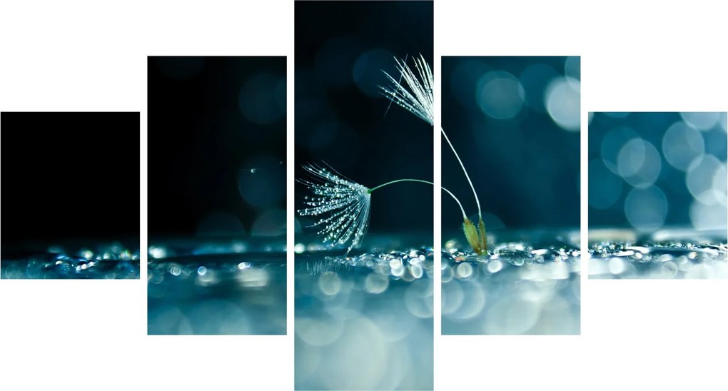 Obraz - Makro (125x70 cm)