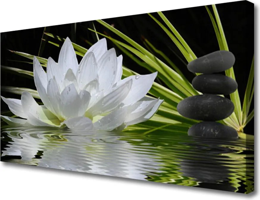 Obraz drukowany na płótnie Harmonijne Lilie na Stawie