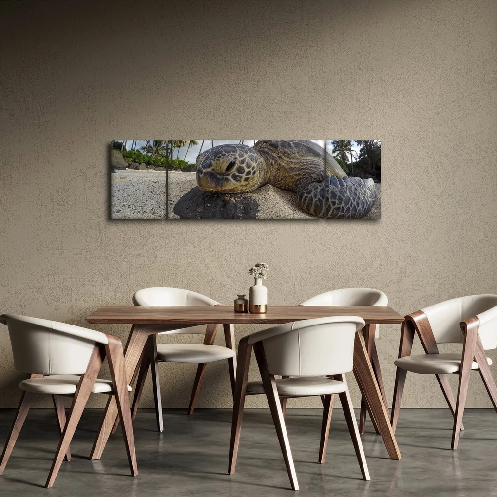 Obraz żółwia (170x50 cm)
