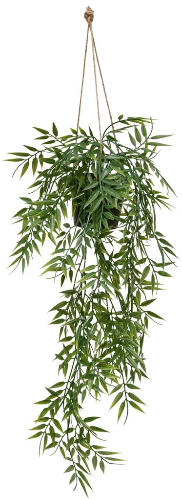 Bambus wiszący w doniczce LIORA, 67 cm