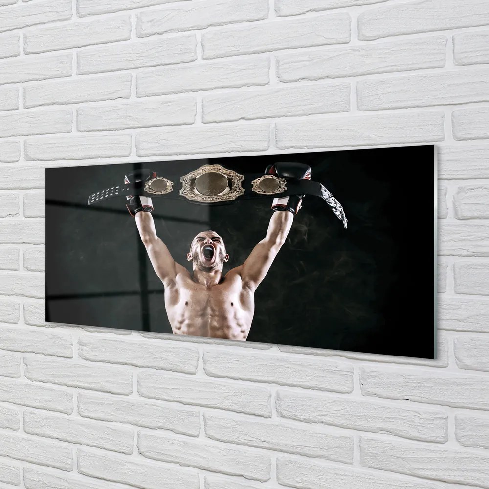 Szkło do Kuchni na Ścianę Pas Mistrzowski