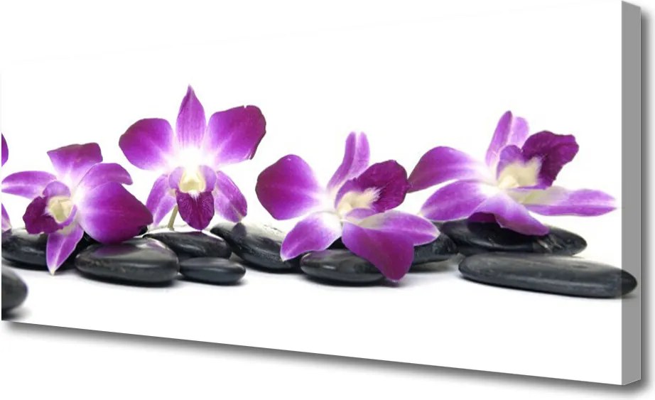 Zdjęcie na płótnie Orchidea w Klimacie Spa