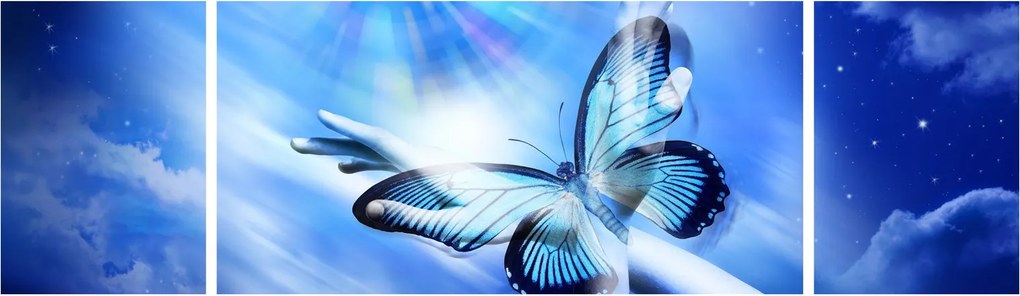 Obraz - Motyl, symbol nadziei (170x50 cm)