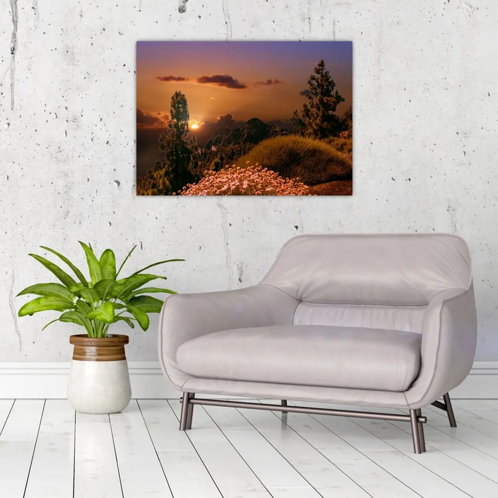 Obraz na szkle - natura z zachodem słońca (70x50 cm)