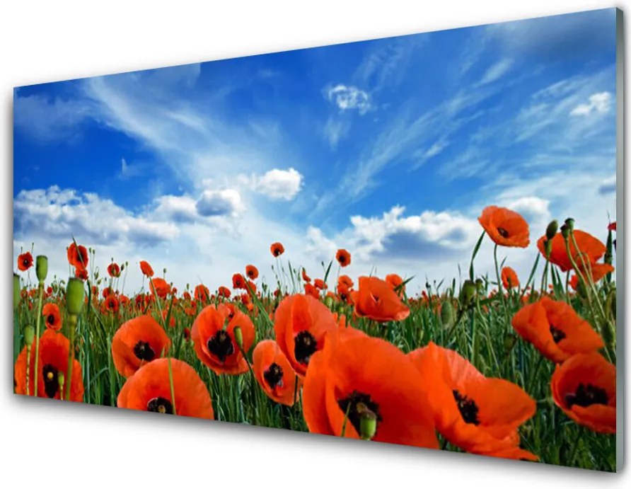 Panel Szklany Czerwone Maki w Blasku Słońca