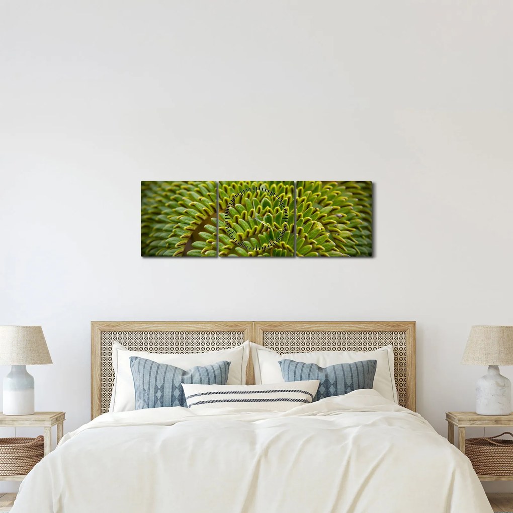 Obraz - Paproć (z zegarem) (90x30 cm)