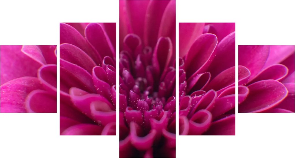 Obraz kwiatu (125x70 cm)