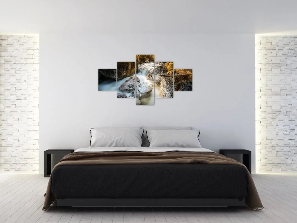 Obraz - Strumień leśny (125x70 cm)