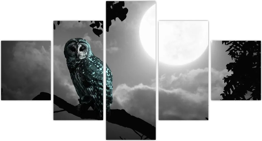 Obraz - Nocna sowa, niebieski (125x70 cm)