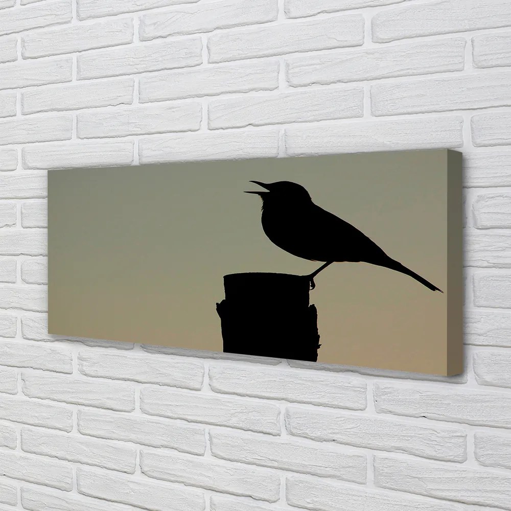 Obraz na płótnie Tajemniczy Czarny Ptak