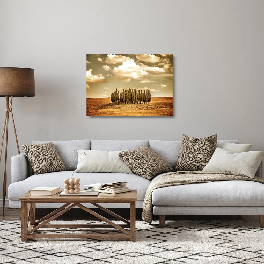 Obraz na szkle leśnej łąki (70x50 cm)