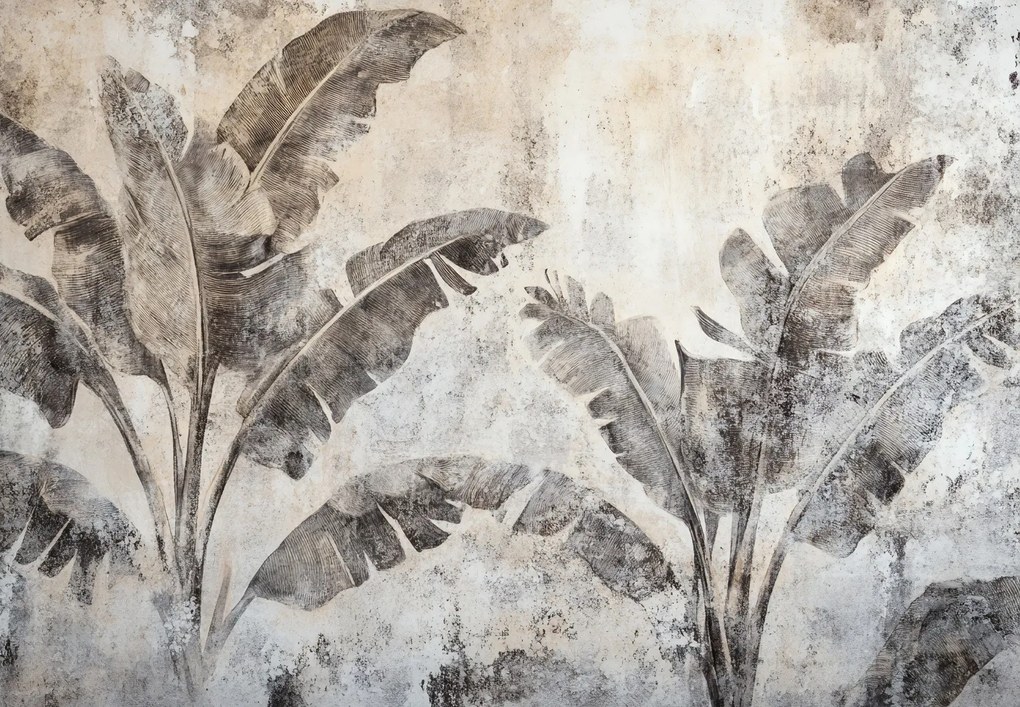 Fototapeta - Drzewo bananowe na ścianie (196x136 cm)